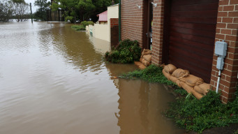 Dealing with a Flooded Basement in Denton? Best Option Restoration Has You Covered