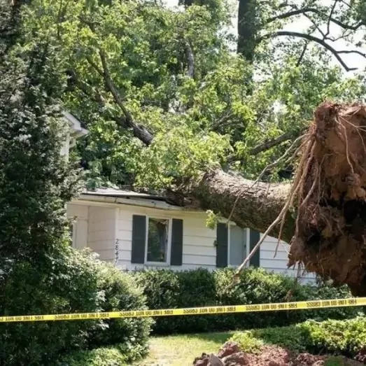 Storm Damage Repair Services in Grapevine & Carrollton, TX